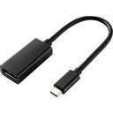 Renkforce RF-4613070 Адаптер USB-C DisplayPort 0,14M