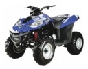 ЗЧЕПЛЕННЯ ODSRODKOWE/NAPEDOWE КОЛОДКИ ЗЧЕПЛЕННЯ QUAD ATV E-TON VECTOR 250CC  (16979300031) фото min 4