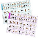 ДОПОЛНИТЕЛЬНАЯ ДОСКА для игры «Угадай Кто» - ЭКСТРА - Собаки 1