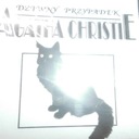 СТРАННЫЙ СЛУЧАЙ