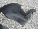 PASSAGE DE ROUE DROIT AVANT VOLKSWAGEN TIGUAN 5N0805912Aphoto 10