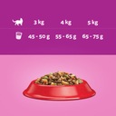 WHISKAS сухой корм для кошек с говядиной 14 кг