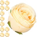 РОЗА РОЗЫ ГОЛОВКА БОЛЬШОЙ ЦВЕТОК ПРЕМИУМ 12 шт.