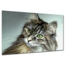 Картина КОТ k2 - 120х80см, холст, мурлычет