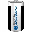 Bateria alkaliczna everActive D (R20) 2 szt. Marka Everactive
