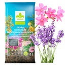 ПОЧВА ДЛЯ ОЛЕАНДРОВ ОЛЕАНДР ОЛИВКИ ОЛИВКИ КРОНЕН