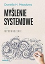 СИСТЕМНОЕ МЫШЛЕНИЕ. ВВЕДЕНИЕ