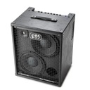 EBS EBS-MA10 Magni 502 2x10-дюймовый комбо-басовый усилитель
