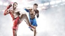 EA SPORTS UFC Xbox One EAN (GTIN) 5030935112535