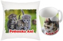 НАБОР ДЛЯ КОШЕК КРУЖКА И ПОДУШКА КОШКИ + ИМЯ