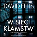 В паутине лжи