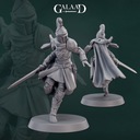 Female knight sword fighter 02 - 3dmonkeypl