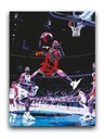 ДЕННИС РОДМАН - ИЗОБРАЖЕНИЕ 80x60 Плакат Chicago Bulls