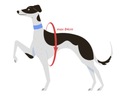 Beztlakový postroj pre psa silný ľahký odlesk XL Veľkosť psa veľký pes