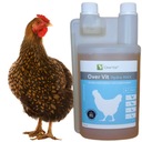 Ovet Vet Over Vit Hydro MAX 1L elektrolity witaminy dla niosek KRÓTKA DATA