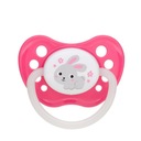 CANPOL 23/278_pin круглая резиновая соска