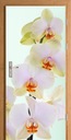 ФОТОобои шпон дверная пленка ЦВЕТЫ ОРХИДЕИ
