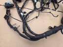 TRIUMPH TRIDENT 660 2021- WIRE SET ELECTRICAL  photo 7