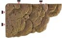EXO TERRA wyspa dla żółwi duża (40,6x24x7cm) Nazwa handlowa Exoterra wyspa L