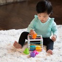 Fat Brain Toys Flexibilná kocka Sorter InéBin Pohlavie chlapci