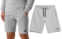 4F ШОРТЫ МУЖСКИЕ СПОРТИВНЫЕ TSHOM156, XXL