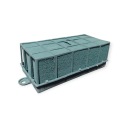 Гранат цветет без ручки, большой для живых цветов