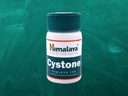 HIMALAYA CYSTONE 100t ПОЧКИ МОЧЕВОЙ СИСТЕМЫ