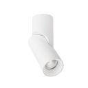 Светодиодная лампа ILAN DIM 1*8.9W Белый IP20 CRI80 3000K (03332W) - ZARlight