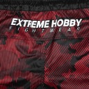 Мужские спортивные шорты 3xl Extreme Hobby