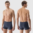 4f плавательные боченики мужской бассейн пляж Boxerki SS24 Шорты