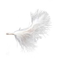 40LED елочные гирлянды, перья, белый декор.