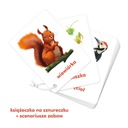 CzuCzu Карточки с картинками на веревочке Животные 2+