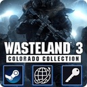 Wasteland 3 Colorado Collection (ПК) Глобальный ключ Steam