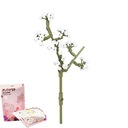 НАБОР ЦВЕТОЧНЫХ КОНСТРУКЦИОННЫХ БЛОКОВ