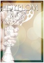БУМАЖНЫЙ диплом для печати - А4 - УНИВЕРСАЛЬНЫЙ