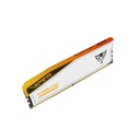 Paměť RAM DDR5 Patriot 48 GB 6000 36 Počet modulů 2