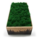 Финский мох 500г нетто, средний зеленый