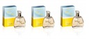 JFENZI Sea of Sun 3x100ml EDP WOMEN