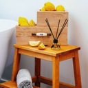 Ароматические палочки для дома, освежитель воздуха с цитрусовыми фруктами Summer Time ERLA