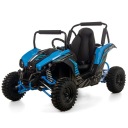 МІНІ QUAD ЕЛЕКТРИЧНИЙ XTR E-UTV 1000W 48V12AH GOKART BUGGY ДОСТАВКА +  (17837687300) фото min 14