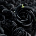 Čierna mydlová ruža Značka Ancient Wisdom