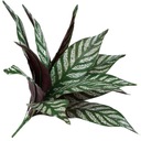 БОЛЬШОЙ БУКЕТ ИЗ ДЕКОРАТИВНЫХ ЛИСТЬЕВ, ФЛОРИСТИЧЕСКОЕ ОФОРМЛЕНИЕ