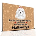 ТАРЕЛКА ПВХ ТЕМНО-КОРИЧНЕВАЯ ЖИЗНЬ КРАСИВАЯ МАЛЬТИЙСКИЙ ПОДАРОК ​​МИКС УЗОРЫ