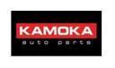 KAMOKA FILTER OLEJU-WKLAD (R) photo 10 - milautoparts-fr.ukrlive.com