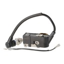 Катушка зажигания бензопилы НАК, модуль магнето, китайская бензопила+свеча