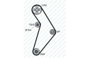 COURROIE MULTICANAL (6PK1030) ALFA ROMEO 147 156 CIphoto 14
