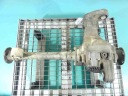 BRIDGE PERID DIFFERENTIAL GPP VW TOUAREG I 7L 2.5 TDI 174  photo 12