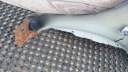 MAZDA 3 BK AILE AVANT DROIT 17Vphoto 9