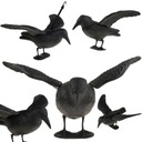 Сырой бойцовский отпугиватель птиц, голубей, выход на балкон.