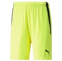 H1723 PUMA teamLIGA ШОРТЫ МУЖСКИЕ ТРЕНИРОВОЧНЫЕ ШОРТЫ 3XL